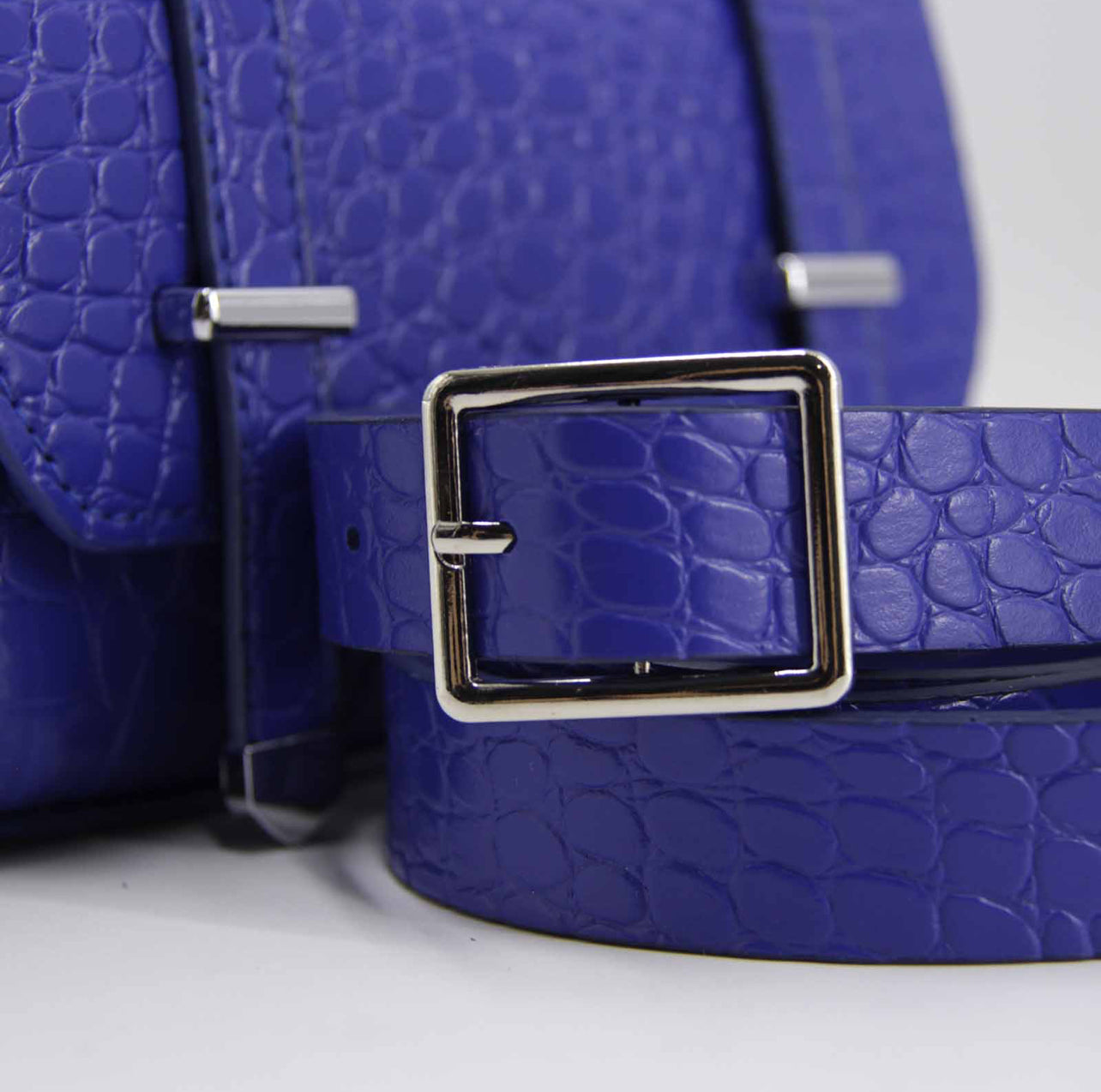 Cartera + cinturón pitón