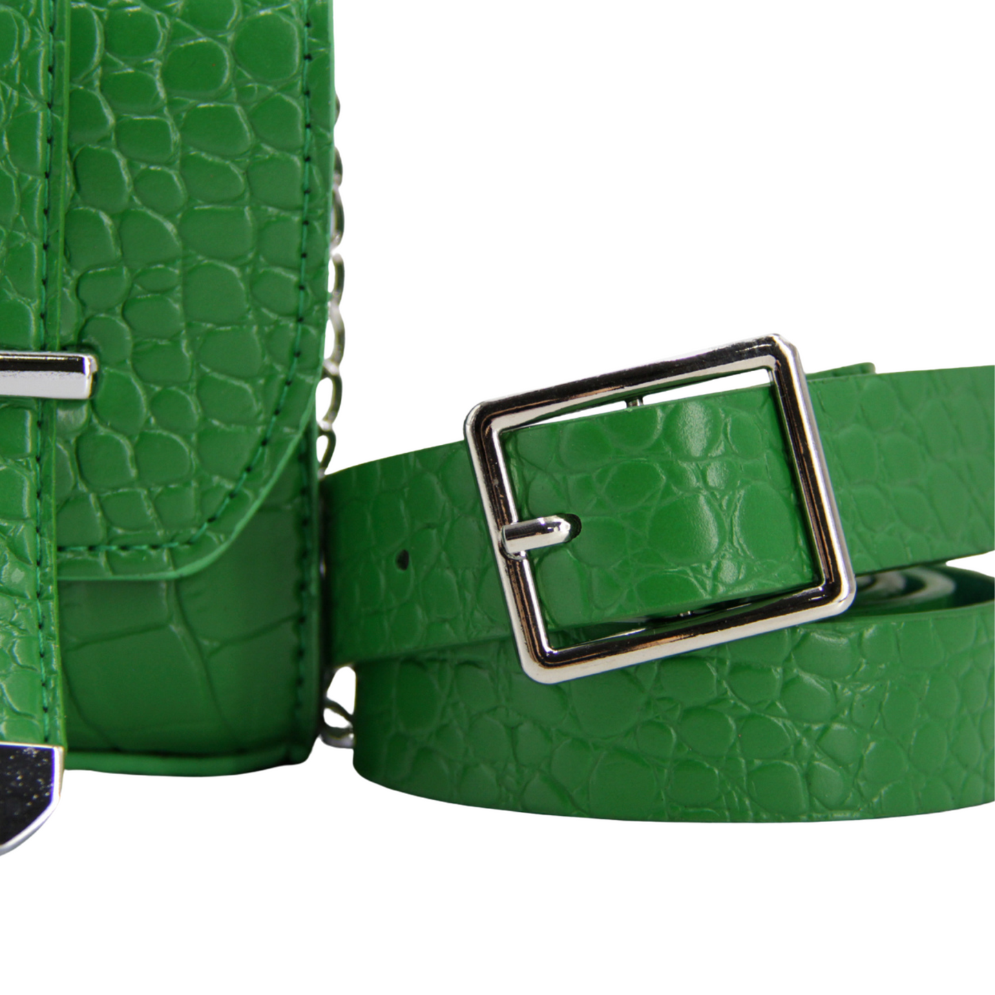 Cartera + cinturón pitón